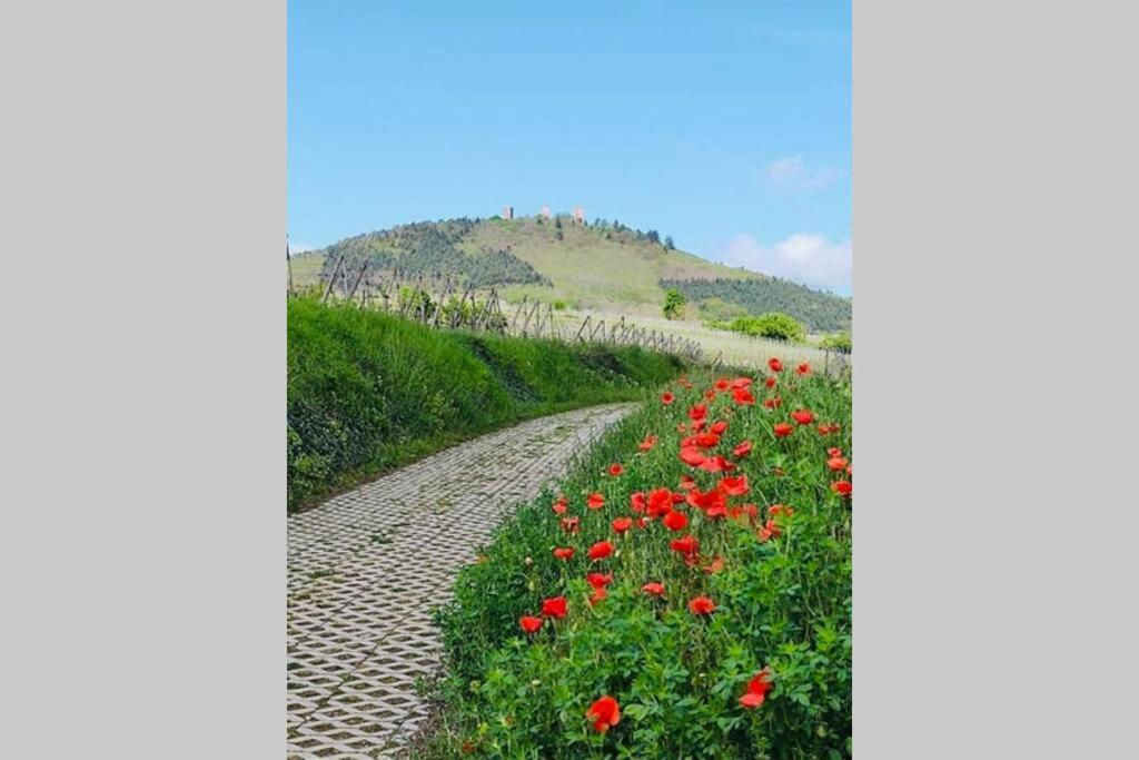 Gite A Eguisheim Proche De Colmar Et Kaysergberg. Bagian luar foto