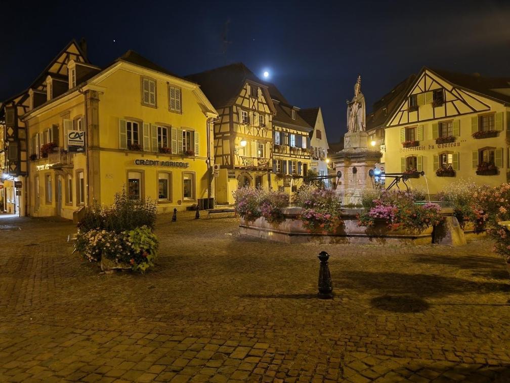 Gite A Eguisheim Proche De Colmar Et Kaysergberg. Bagian luar foto
